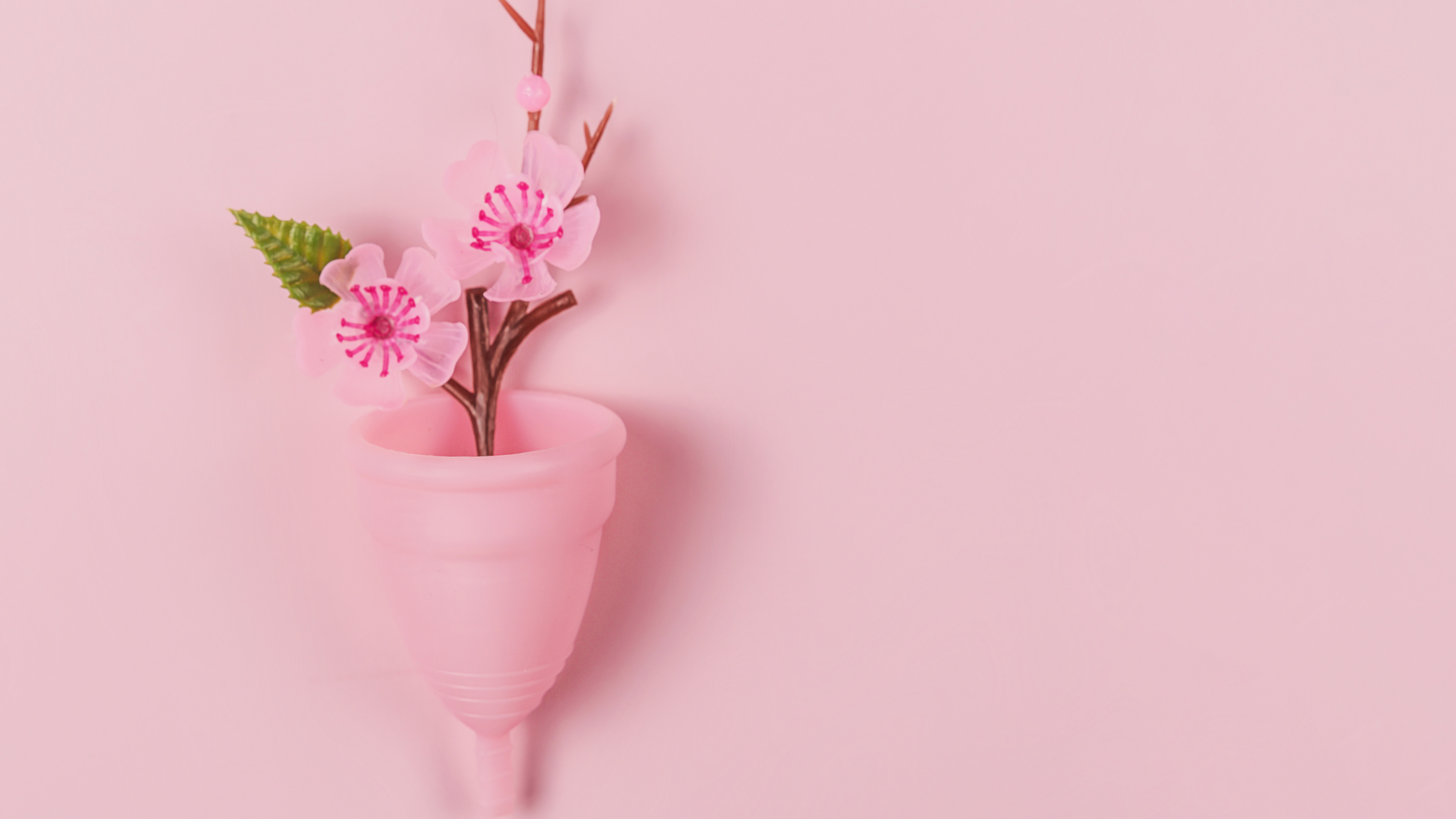 Why should you choose a Menstrual cup?
